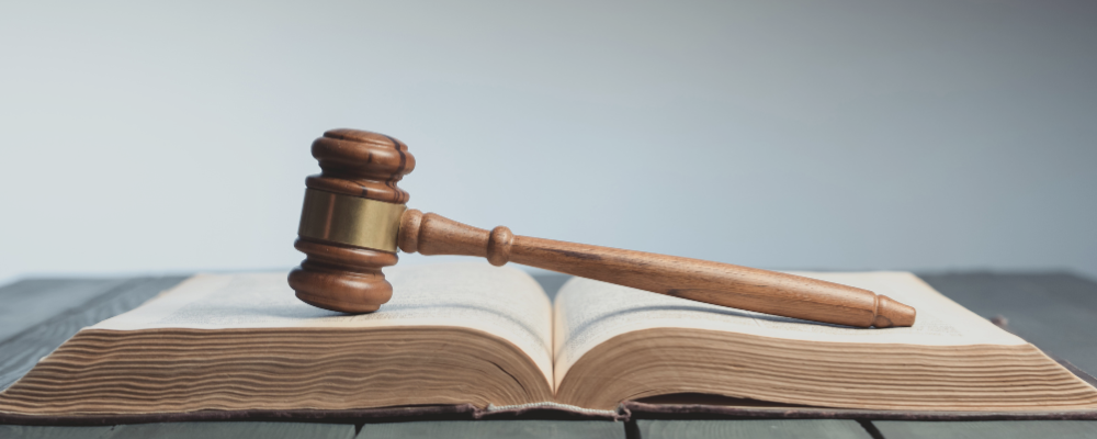 Open-Book-gavel-dbs