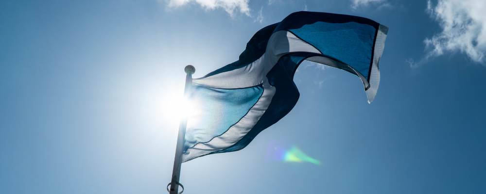 The Scottish flag is being blown in the wind on a pole looking up at it.