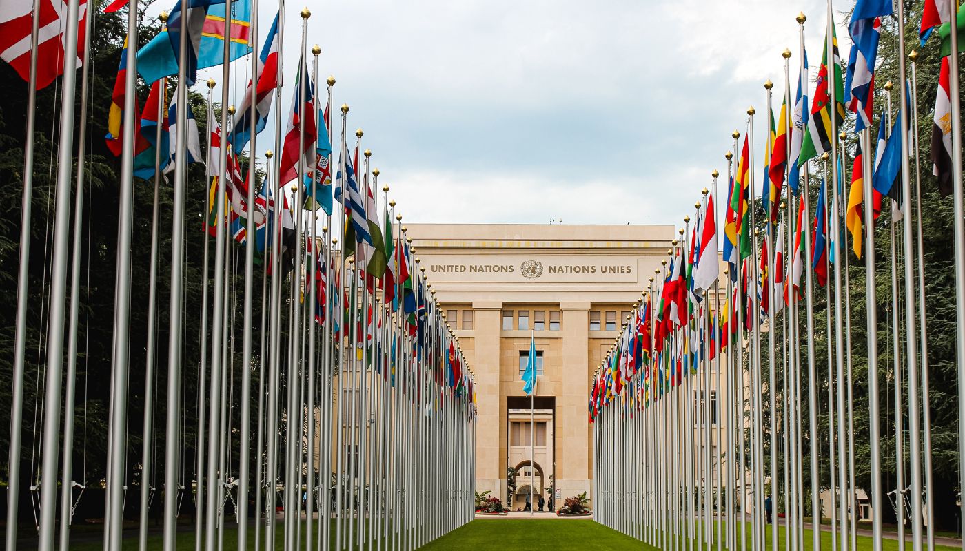 There are flags on tall flag poles in a row on both sides of a path leading to a big building that says United Nations.